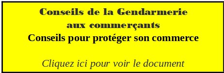 fiche conseil cambriolage dans commerce