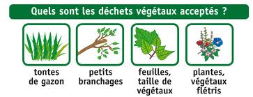 Dechets verts